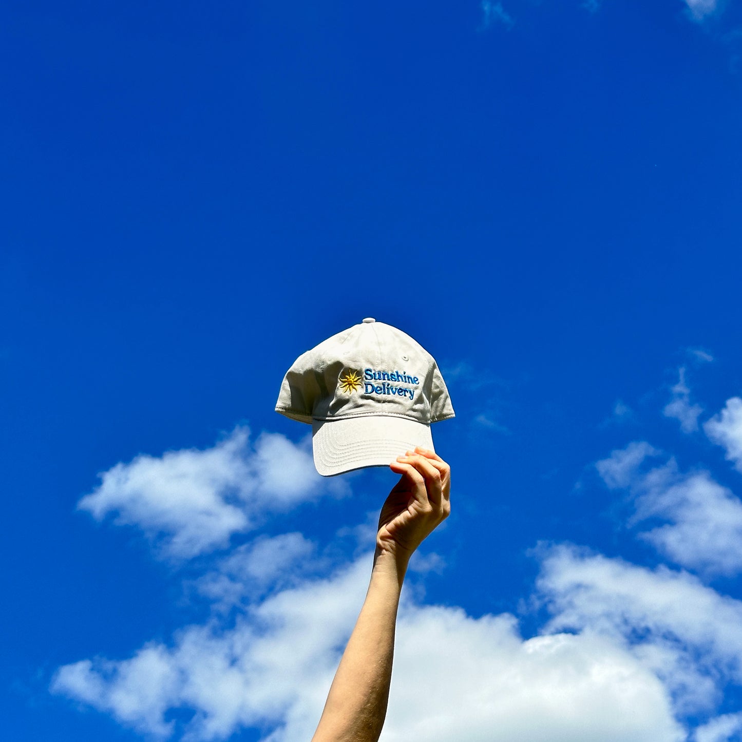 Sunshine Delivery Dad Hat